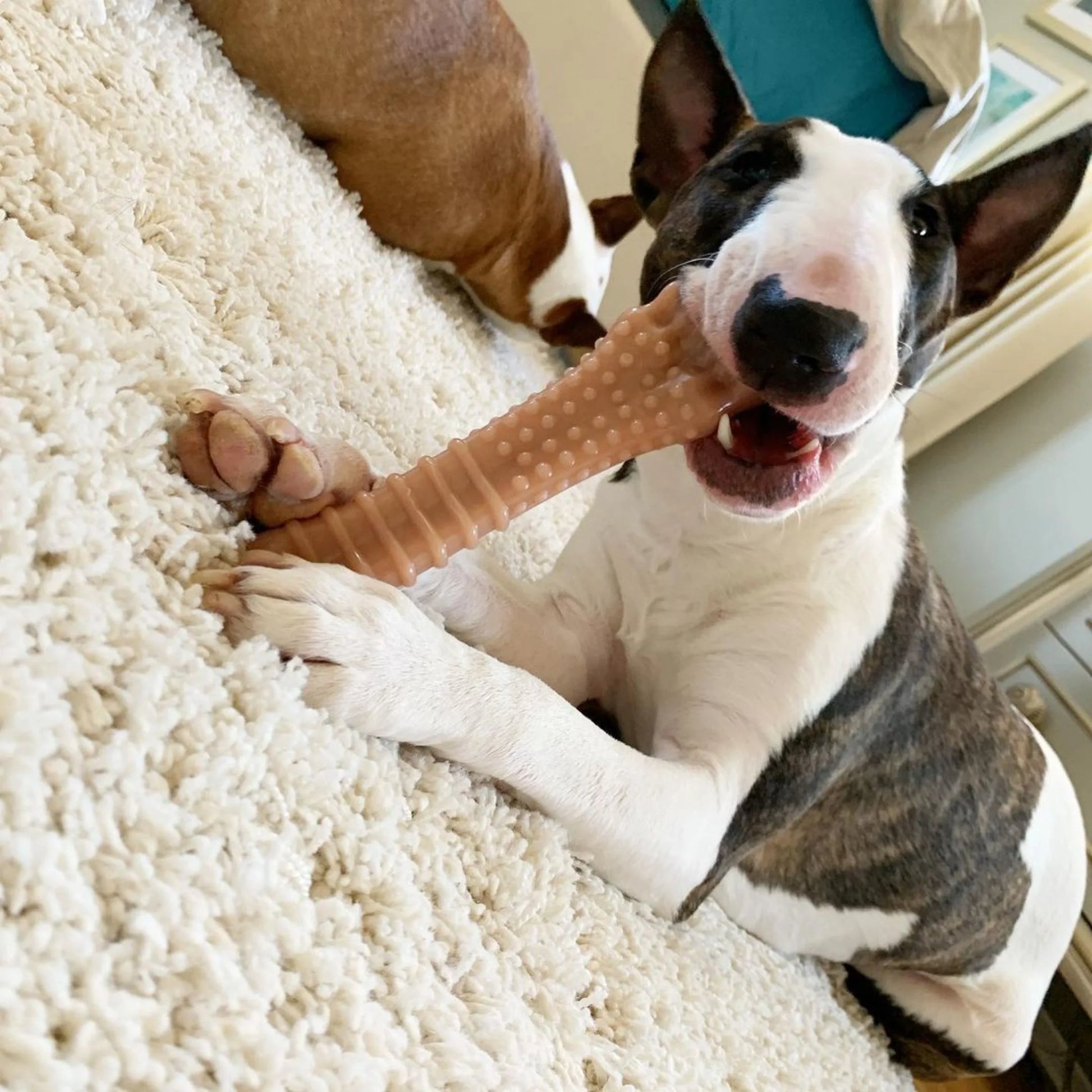 Power Chew Textured Knuckle Bone Dog Toy, Dog Chew Toy, Bacon Flavor, X-Large, 1 Count