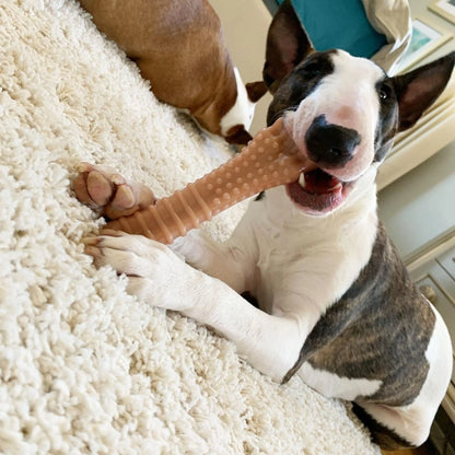 Power Chew Textured Knuckle Bone Dog Toy, Dog Chew Toy, Bacon Flavor, X-Large, 1 Count