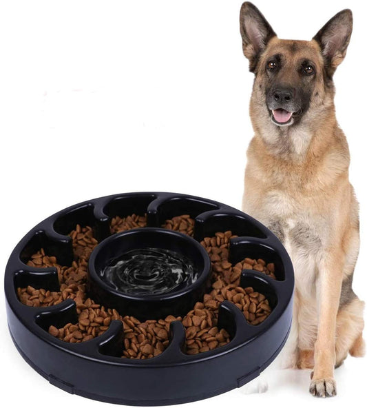Dog Bowl for Large Dogs
