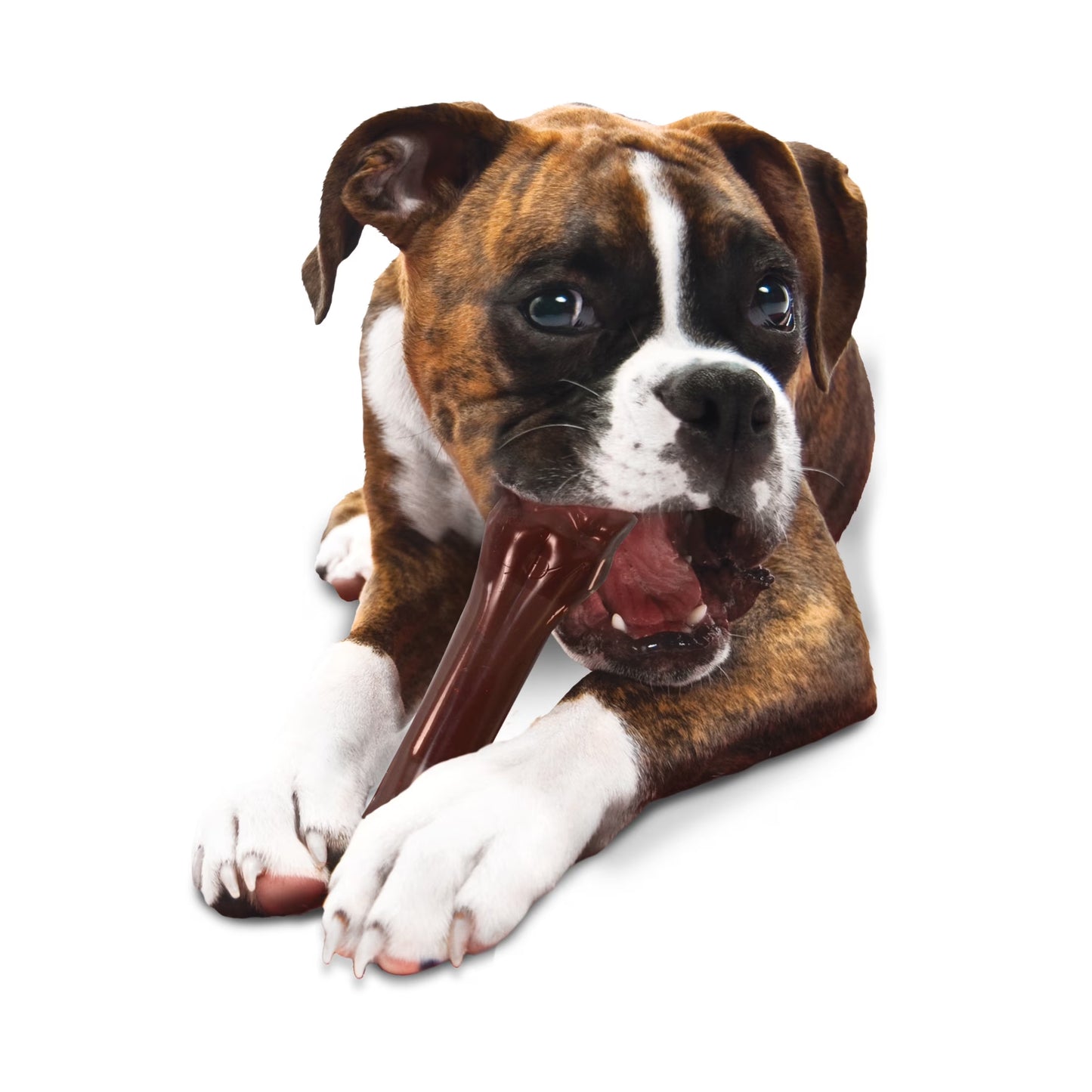 Power Chew Knuckle Bone Dog Toy, Dog Chew Toy, Beef Flavor, X-Large, 1 Count